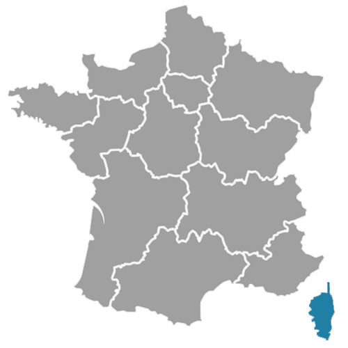 Etat des lieux Corse
